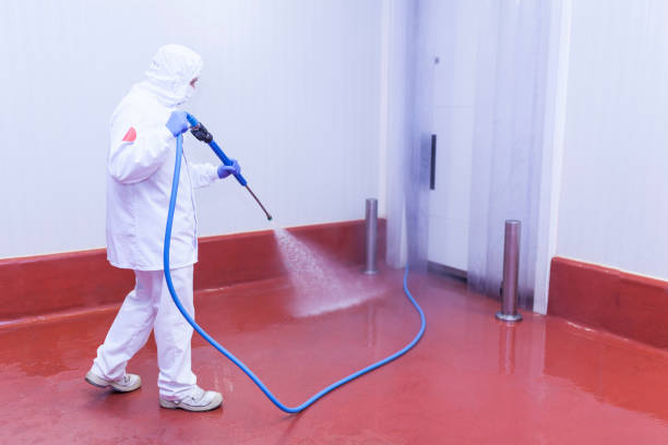 Best Dumpster Area Cleaning  in Basking Ridge, NJ