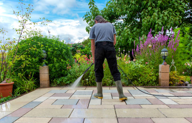 Best Animal Enclosure Cleaning  in Basking Ridge, NJ
