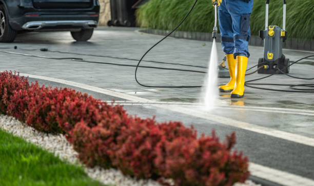 Best Soft Washing  in Basking Ridge, NJ